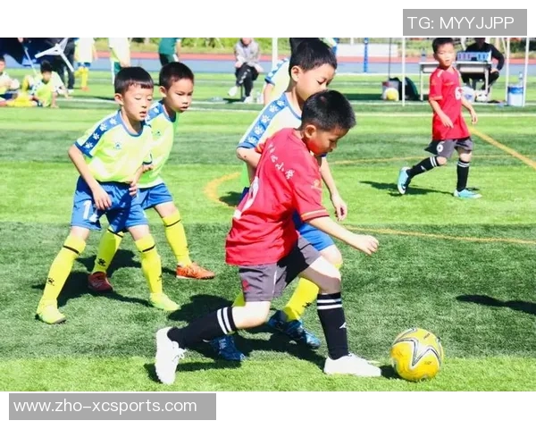 成都市足球培训助力青少年成长打造足球梦想的摇篮与未来之路